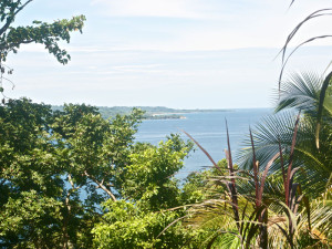 The view from the silverback cabin in Bocas del Toro at the Panama Eco Lodge.