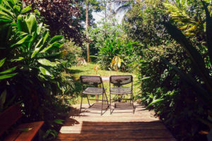 Enjoy your coffee while gazing at the rainforest on Isla Bastimentos.