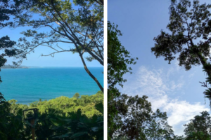 Amazing views of the Caribbean from Up in the HIll Eco Lodge in Bocas del Toro.
