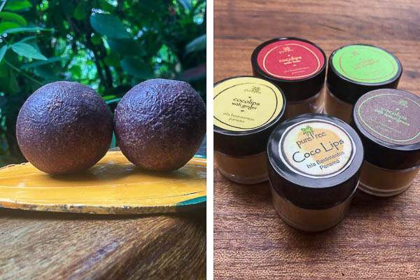 Up in the Hill Gift Shop has cacao and lip balms to buy in Bocas del Toro.
