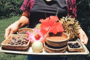 up in the hill eco lodge in panama with a chocolate farm tour in Bocas del Toro