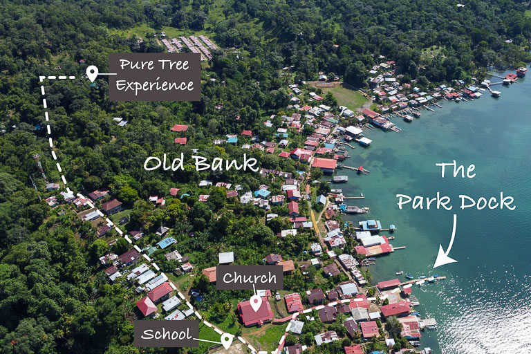 Pure Tree Experience Map showing how to get to the Pure Tree Experience on Isla Bastimentos