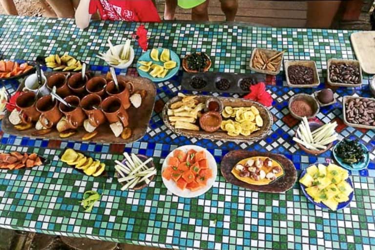 the tasting table after the pure tree tour on isla bastimentos in bocas del toro panama.